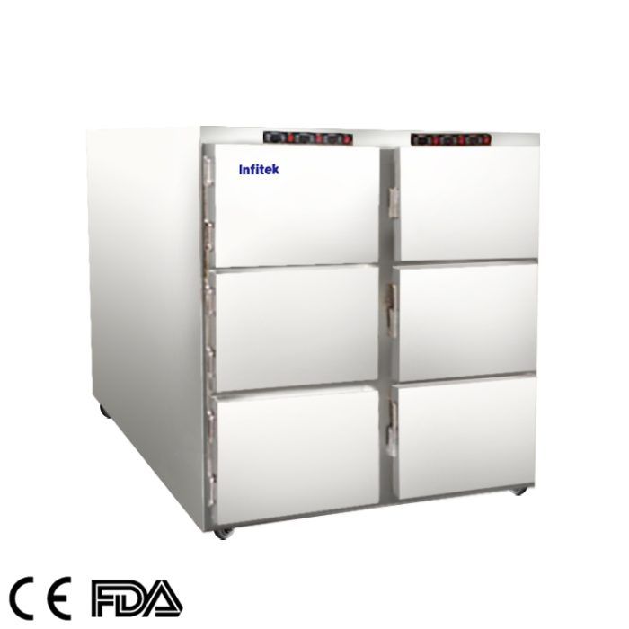 ثلاجة الجثث، MCFR-6000 (6 جثث)