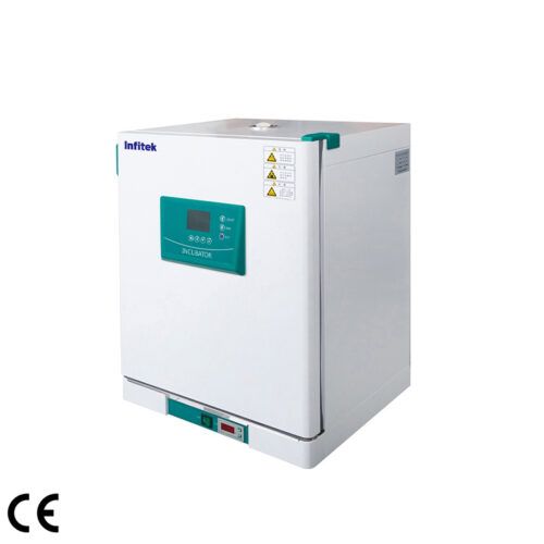 ICB-P Series, Constant Temperature Incubator